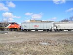 CN 114135 is new to RRPA!
